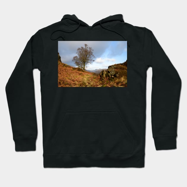 Walking over Holme Fell Hoodie by jldunbar